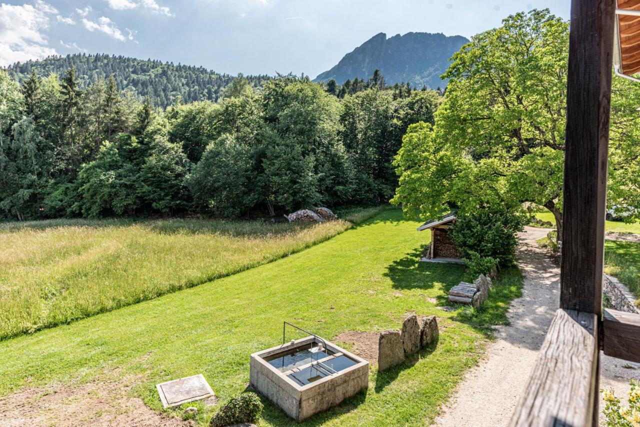 Camera De Le Rondole, Maso Postel - 500 Mt Strada Sterrata Pergine Valsugana Eksteriør bilde