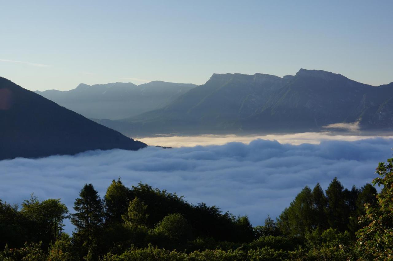 Camera De Le Rondole, Maso Postel - 500 Mt Strada Sterrata Pergine Valsugana Eksteriør bilde