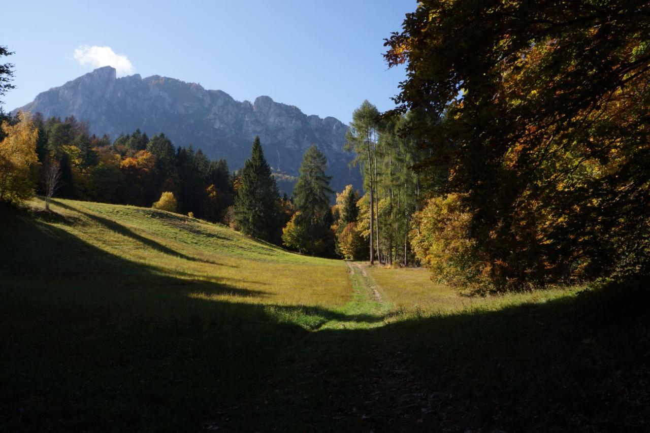 Camera De Le Rondole, Maso Postel - 500 Mt Strada Sterrata Pergine Valsugana Eksteriør bilde
